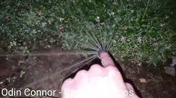 Testing Sprinklers (Zone 7)