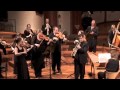 Giuliano sommerhalder  fasch concerto  alt version basel