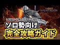 【ナイトレイン】ソロガチ勢が教えるナイトレイン攻略の流れ＆立ち回り＆解説 初心者必見【グラディウス戦】【エルデンリングナイトレイン】
