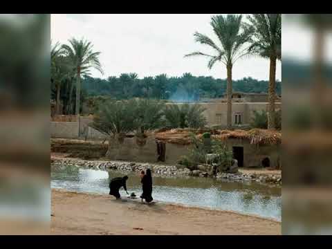 بيتنا الصغير ٠٠محمد رشدى 