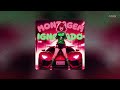 TESOROX MONTAGEM IGNORADO Slowed TESOROX MONTAGEM IGNORADO Slowed
