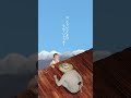 スカイツリー手作りする田舎者