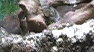 MVI_5824.AVI