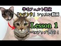 ①【キジトラ】レッスン動画　#羊毛フェルト　＃羊毛フェルト猫　＃羊毛フェルト犬　#羊毛フェルト講座　＃羊毛フェルト作り方　#リアル羊毛フェルト