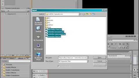 084 - Premiere Interface - Source Machinima Cinematography