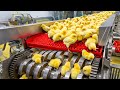 Inside a Chicken Factory: From Hatchery to Processing Plant (Full Process)