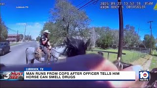 Texas Man Flees After Officers Say Police Horse Can Smell Drugs