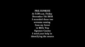 (Ogemaw County Michigan) Scream From The Forest 2018