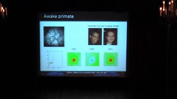 Conference: Neurotechniques, Prof. Elizabeth Hillman