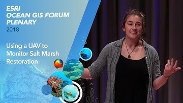 Using a UAV to Monitor Salt Marsh Restoration