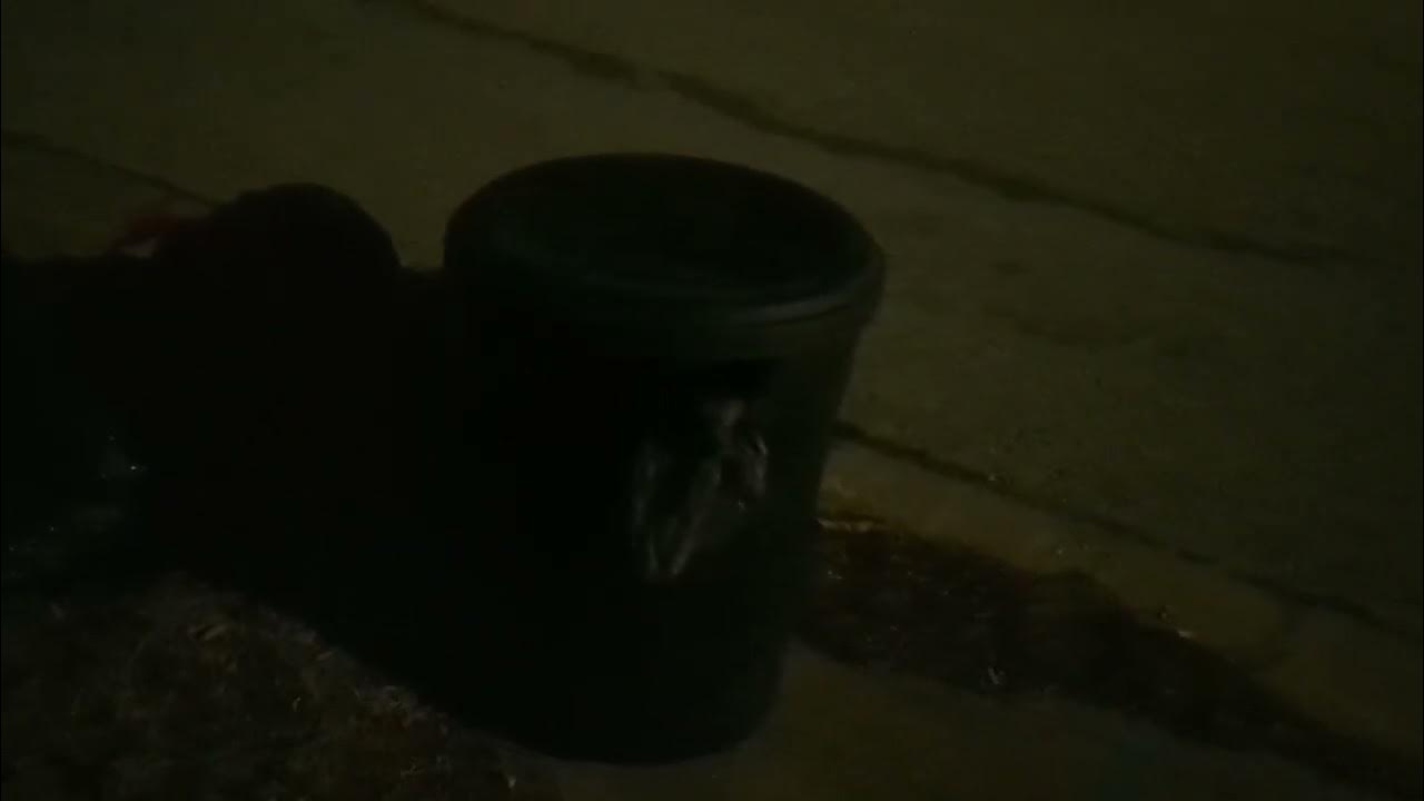 Brentwood Garbage Shtshow YouTube