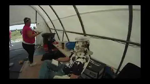 Tim getting pied