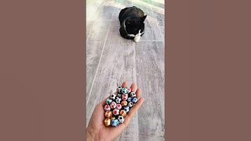 Satisfying Reverse Video 🤩😻 #shorts