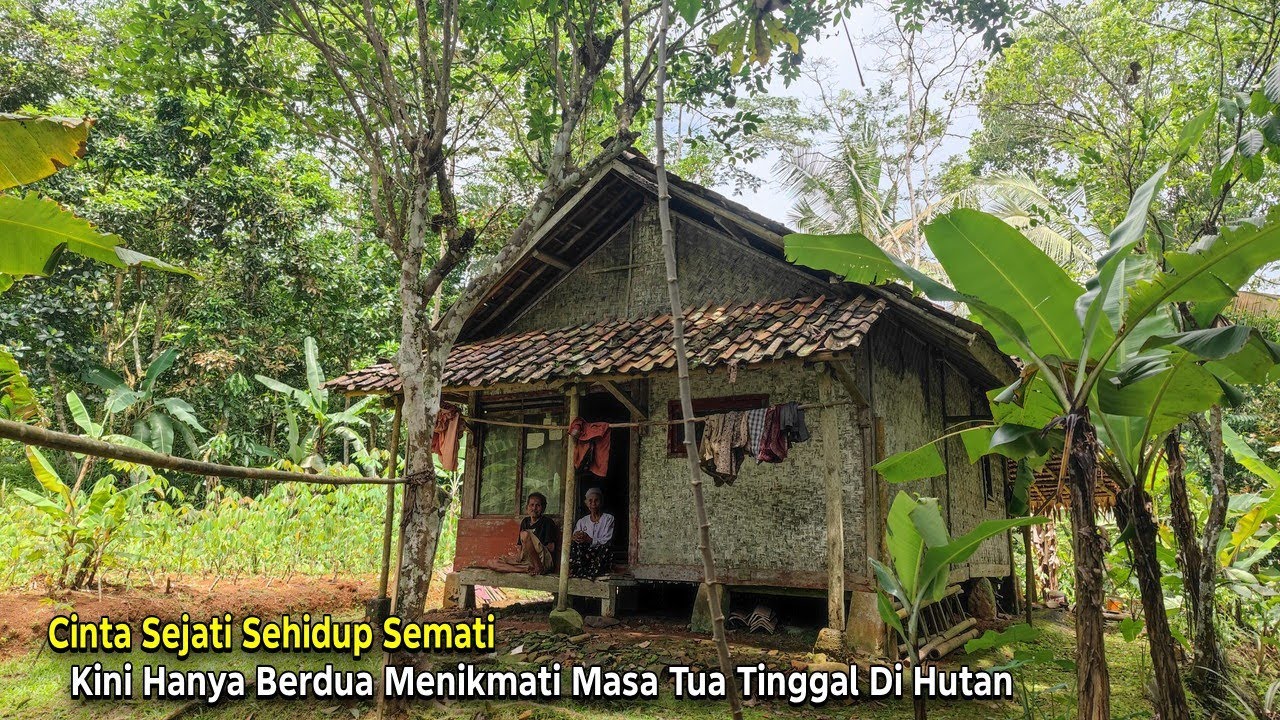 Bikin Haru..😭 Sepasang Lansia Berjuang Hidup Berdua Tinggal di Rumah Kayu Sederhana di Tengah Hutan