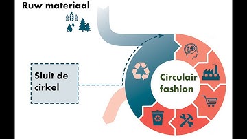 De ogen gericht op Fashion!