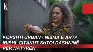 Kopshti Urban - Nisma e Arta Ibishi–Çitakut shtoi dashninë për natyrën - Katror Media