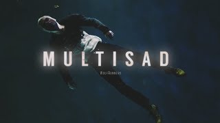 M U L T I S A D