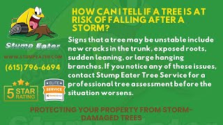 HOW CAN I TELL IF A TREE IS AT RISK OF FALLING AFTER A STORM?