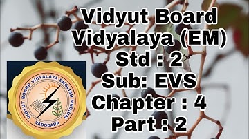550.Std-2, EVS,Chapter-4, Part-2, Vidyut Board Vidyalaya | BHAGYESH THAKKAR