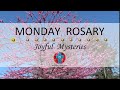 Monday Rosary • Joyful Mysteries of the Rosary 💙 May 13, 2024 VIRTUAL ROSARY - MEDITATION