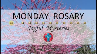Monday Rosary • Joyful Mysteries of the Rosary 💙 May 13, 2024 VIRTUAL ROSARY - MEDITATION