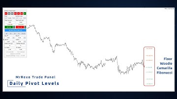 Daily Pivot Levels - MrRexo Trade Panel (MT5) #5