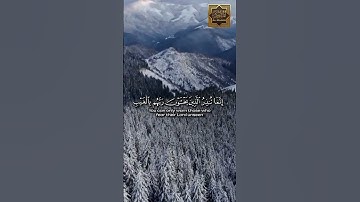 يا أيها الناس أنتم الفقراء إلى الله - سورة فاطر - القارئ الشيخ ياسر الدوسرى