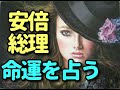 タロット占い　安倍総理　命運を占う