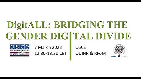 Copy of DigitALL: Bridging the gender digital divide