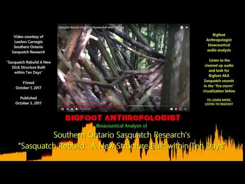 Sounds of Sasquatch in Southern Ontario Sasquatch Research's video on Sasquatch structures