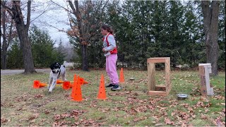 November Movement Puzzle - Exercise #5