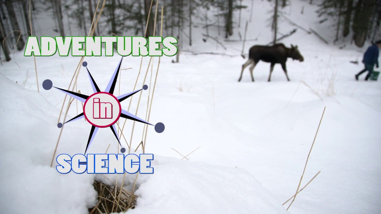 Adventures in Science - Trailer