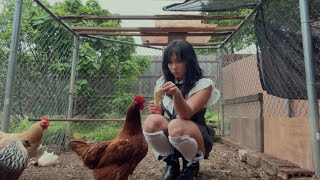 Coping By Consuming Carbs With Chickens.