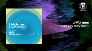 Li-Polymer - Microclima (GMJ Remix) [Particles] Resimi