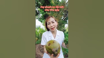 Công dụng rau ngổ xay nước dừa #short #thanhdongvlog
