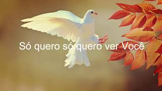 Lindo és   Só quero ver você (Letra)
