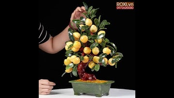 Cây đào ngọc hoàng long 28 quả size nhỏ