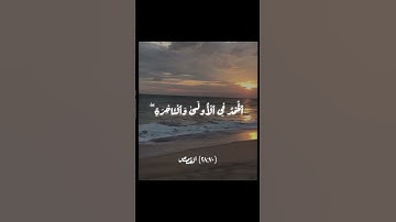 راحة نفسية ❤️‍🩹#قران_كريم #المنشاوي #اكسبلور #المصحف #سورة_القصص