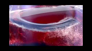 The Spongebob Movie Sponge Out Of Water - Sky Cinema Family Intro