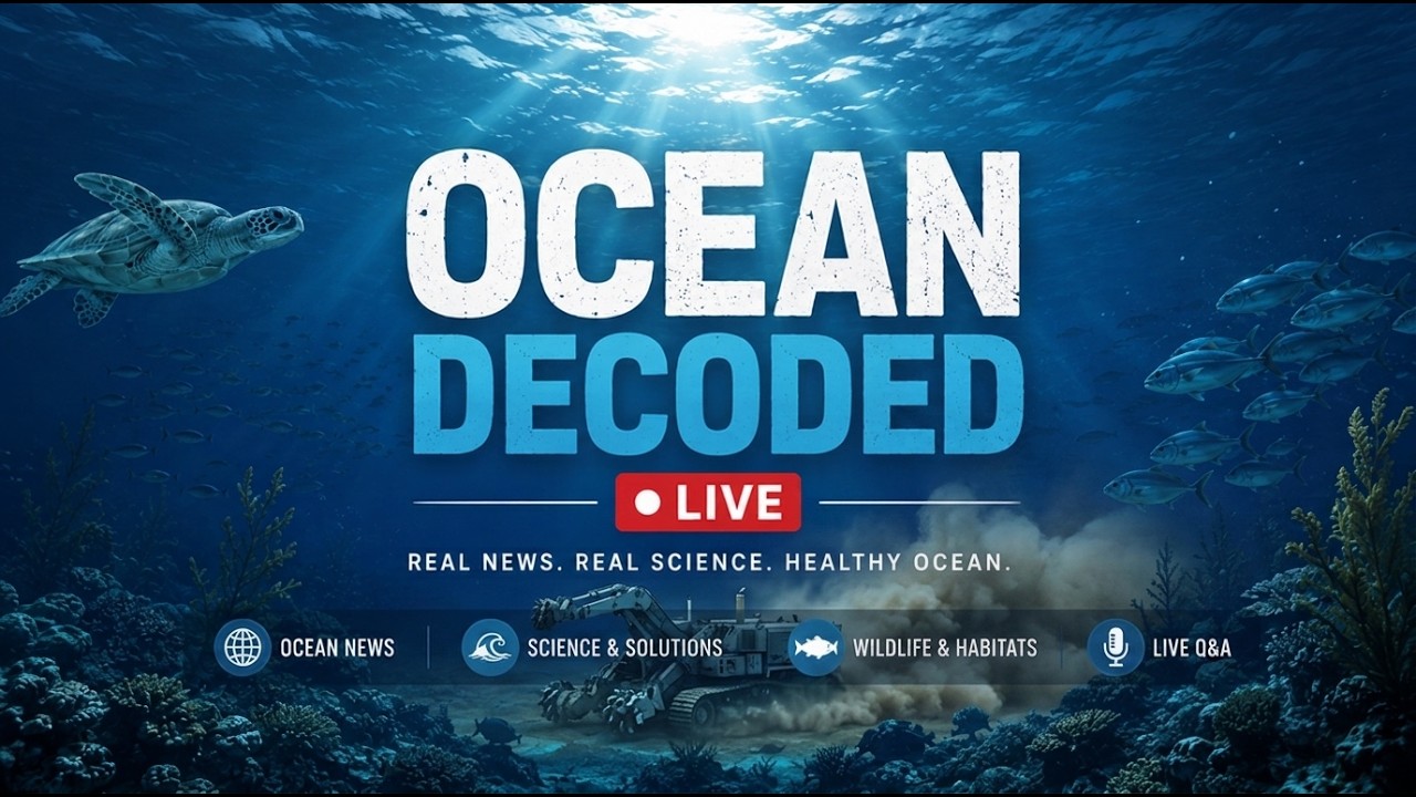 The Motive of a Deep Sea Mining CEO: Is Gerard Barron Really About Conservation?