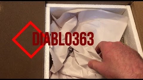 New Surprise Breeding Pair BHb Reptiles Unboxing !!!