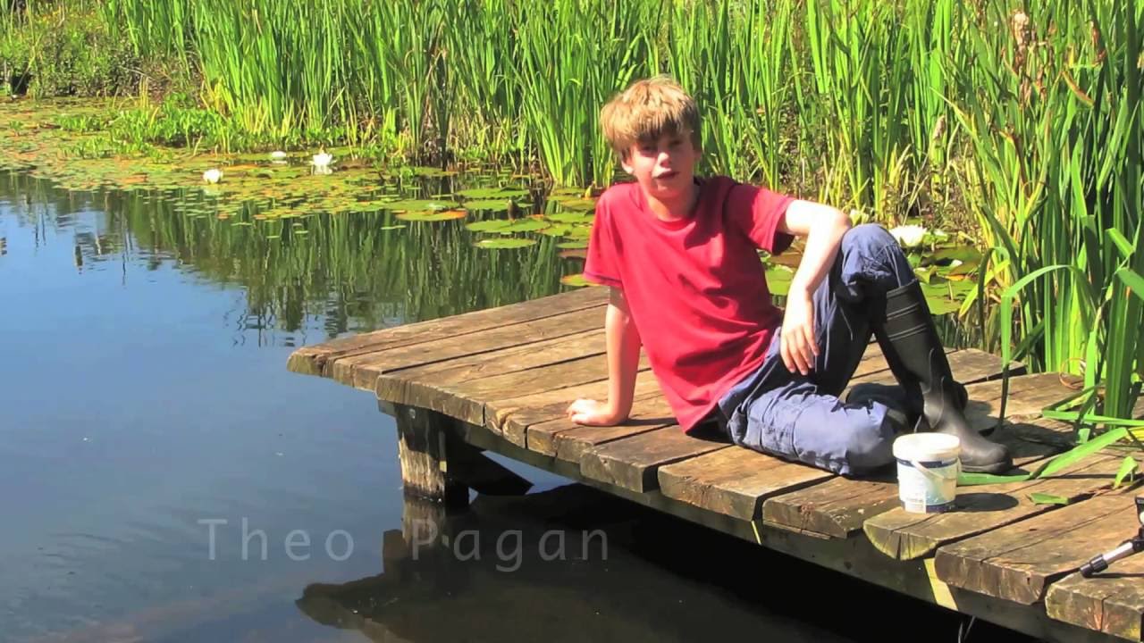 The longest water insect in Europe - water stick insect