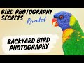 Backyard Bird Photography: How To Attract Amazing Birds  - Bird Photography Secrets Revealed!