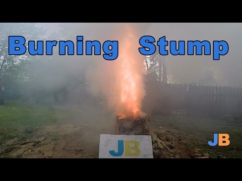 Burning Stump