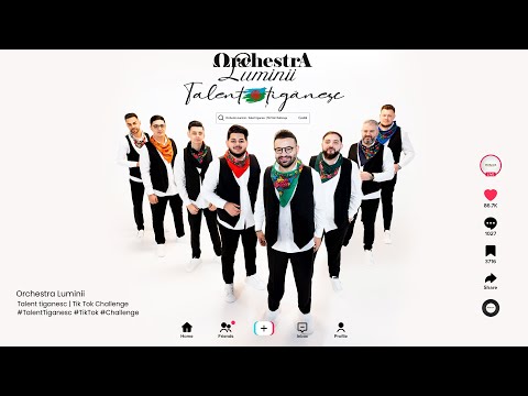 ORCHESTRA LUMINII -