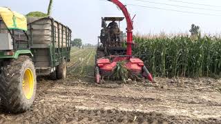 Dep Agro 4 Row Silage Harvester