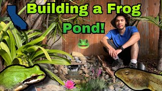 Building a Frog Pond! | Part 1