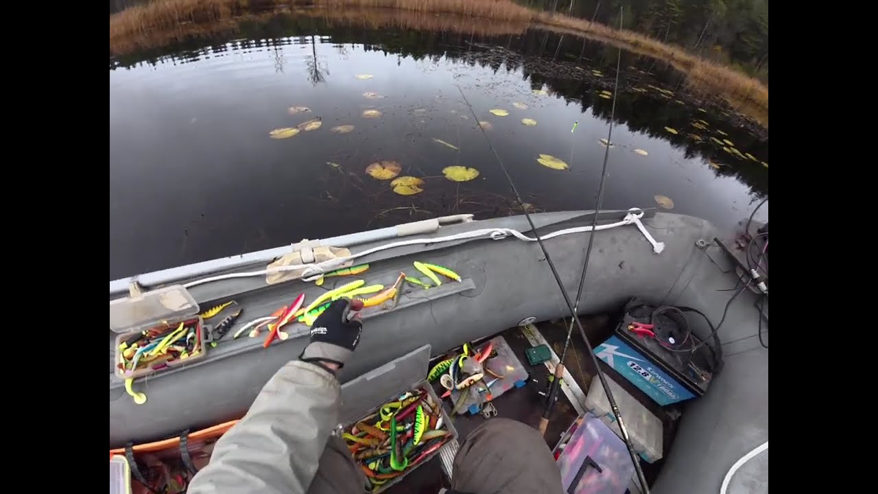 ​🌲 Miško Ežeras: Lydekos NEKIBO, bet ešerių PŪGA užtvankoje! 🎣