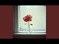 No Need To Love Again