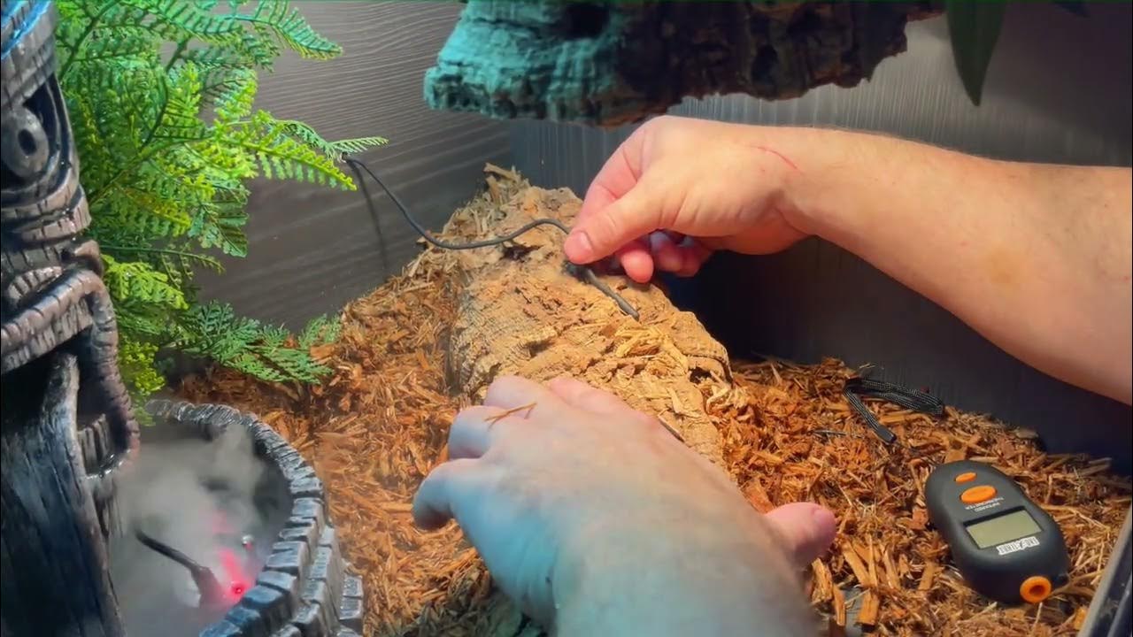 Thermostat probe placement YouTube